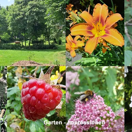 Gartenhaus - Nyaraló