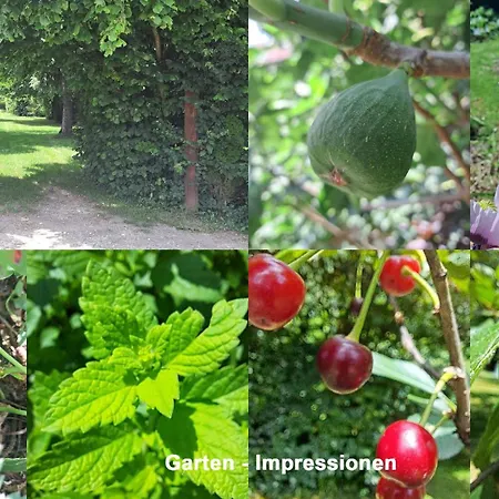 Semesterbostad Gartenhaus - Lottstetten